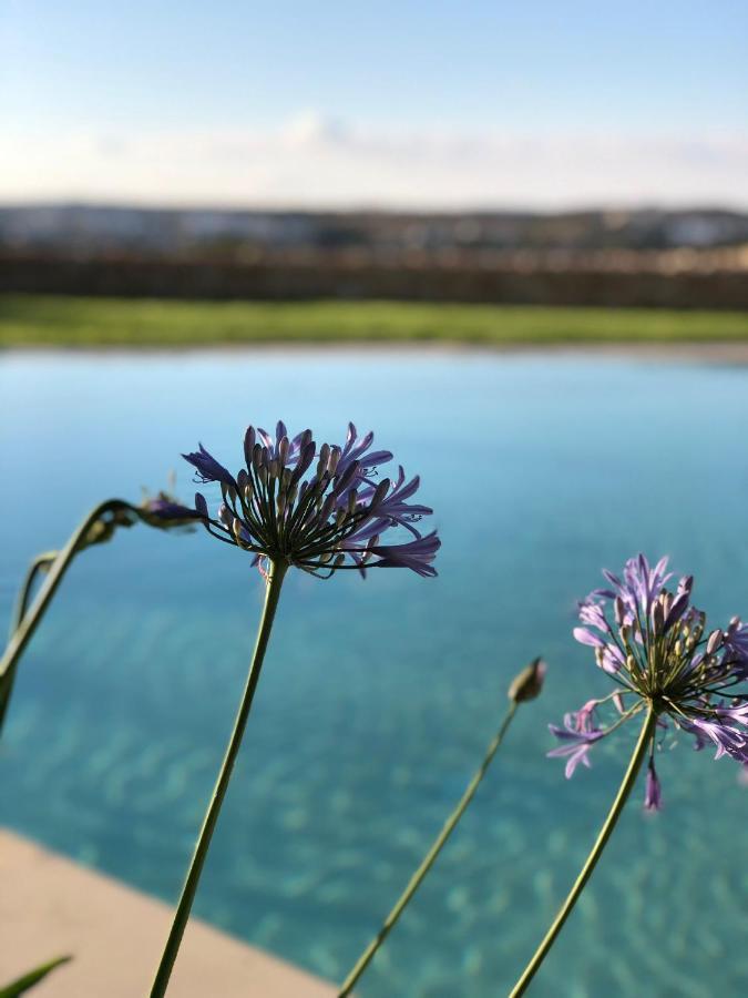 Вілла Sunset Oasis L-Imgarr Екстер'єр фото